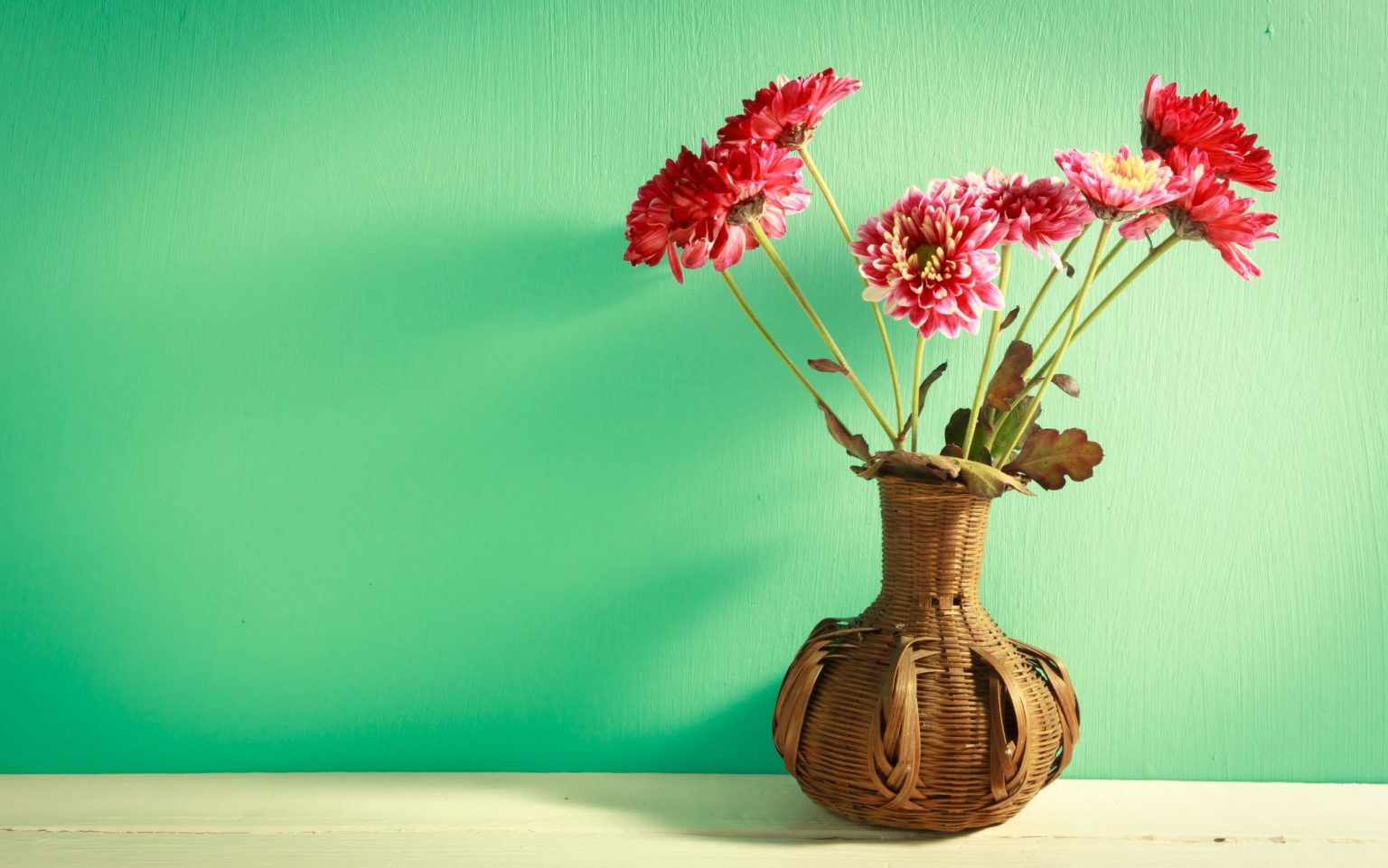 Zinnias In Containers How To Grow Them Properly