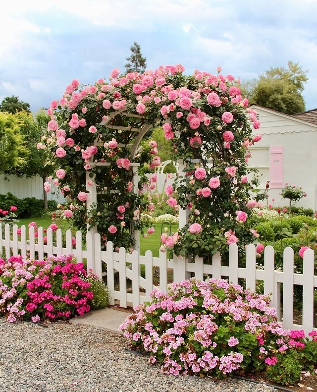 20 Stunning Fence Garden Ideas to Transform Your Outdoor Space